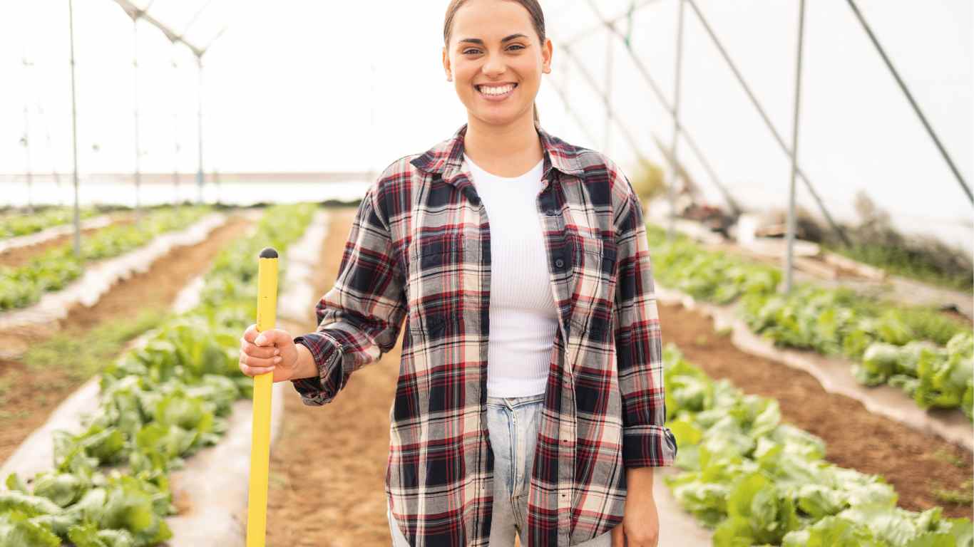 Growing vegetables in greenhouse