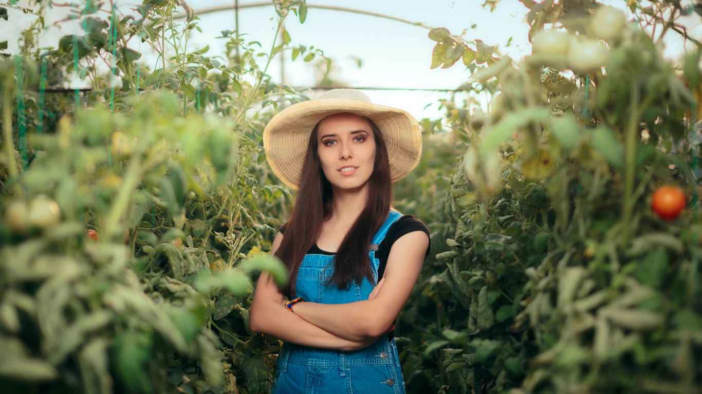 Growing vegetables in greenhouse 