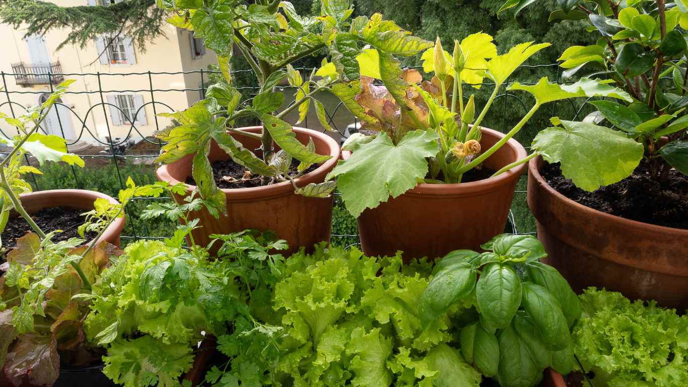 container gardening