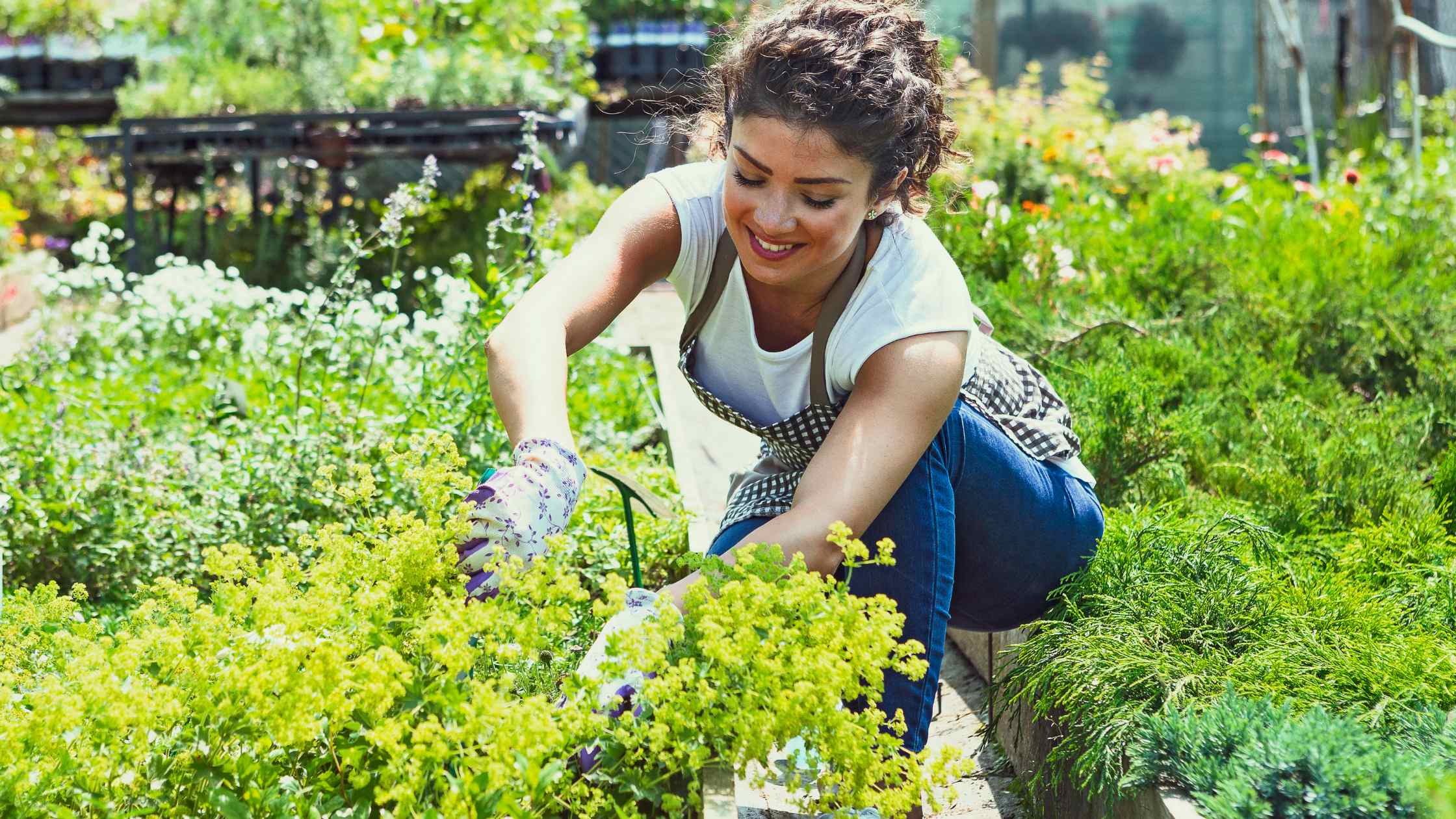 Supercharged Biointensive Gardening: Unlocking High Yields in Small Spaces