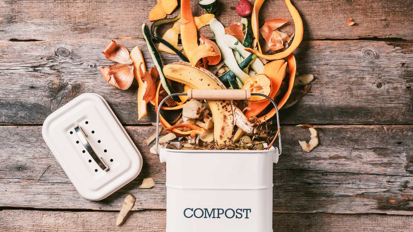 Growing Vegetables from Scraps: An Easy Guide for Modern Families