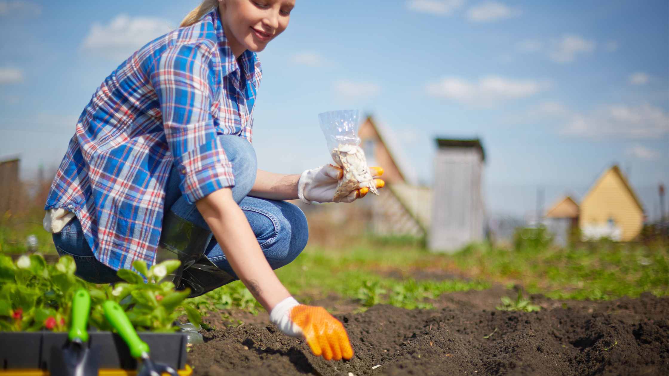 How to Cultivate a Thriving Vegetable Garden