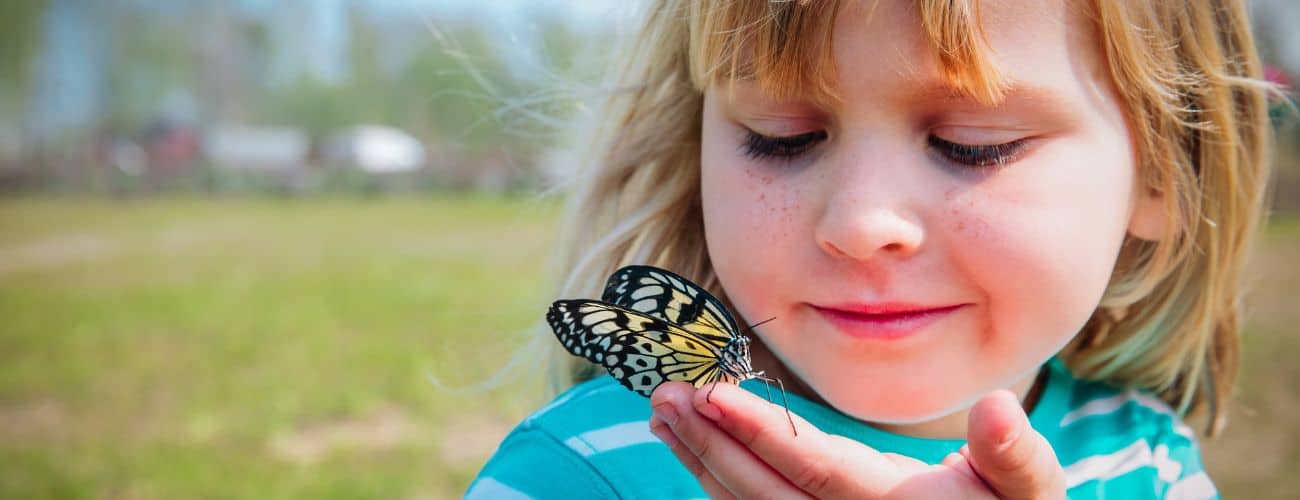 girl with butterfly 