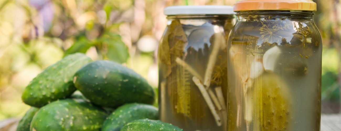 Pickled gurrnkis 