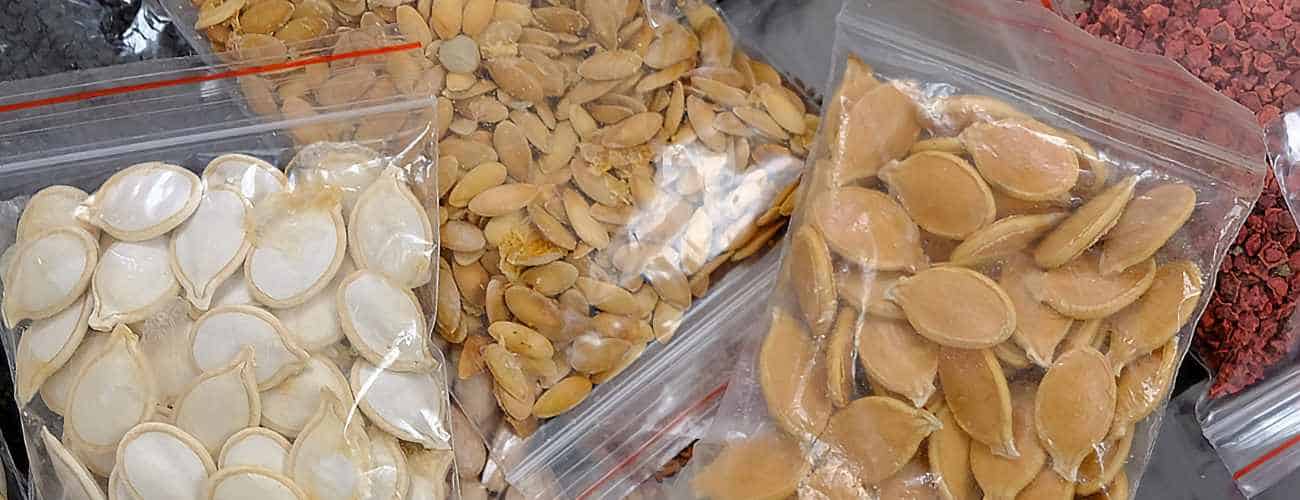 storing vegetable seeds 