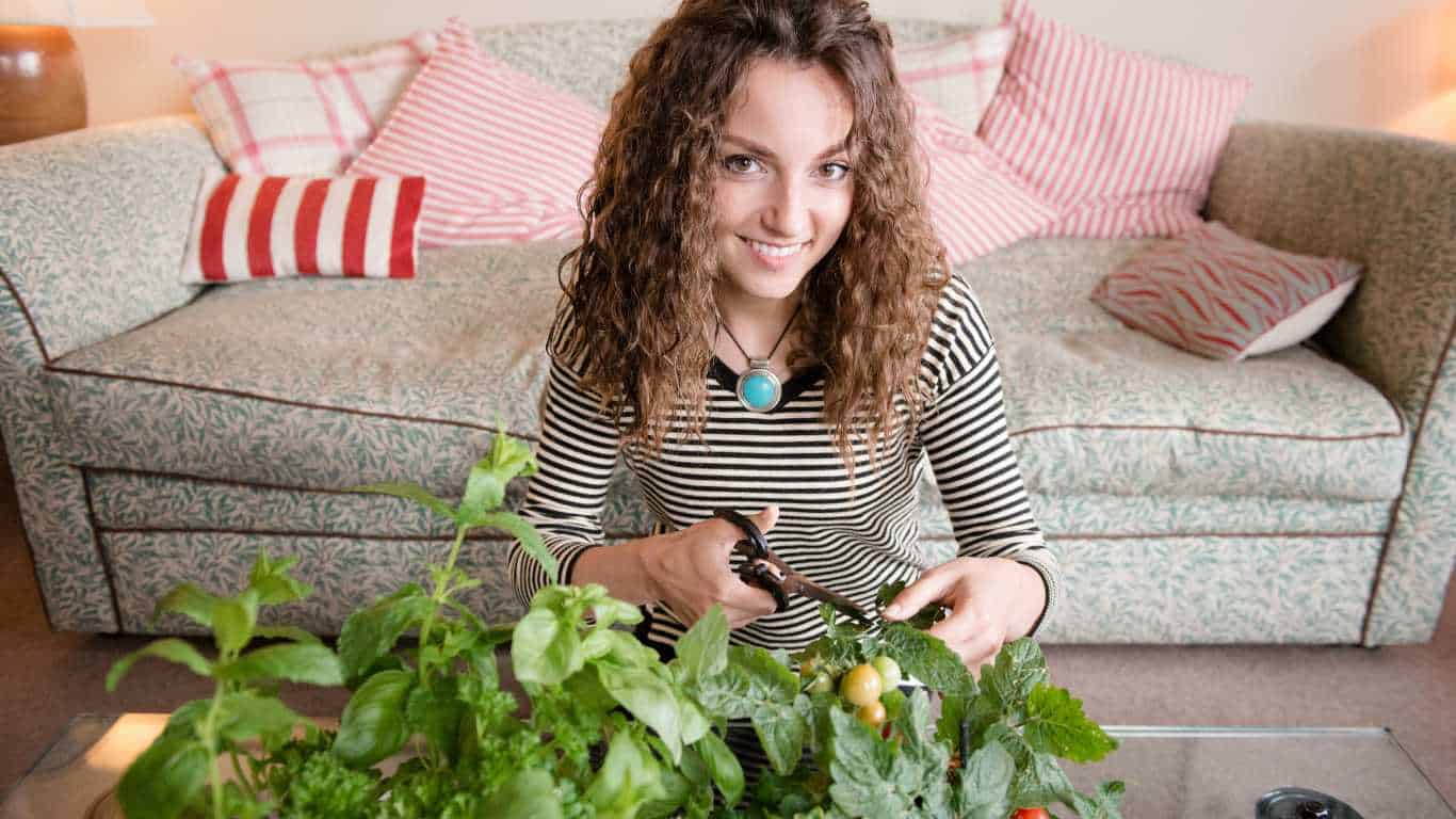 Do You Really Need Grow Lights for Indoor Seed Starting?