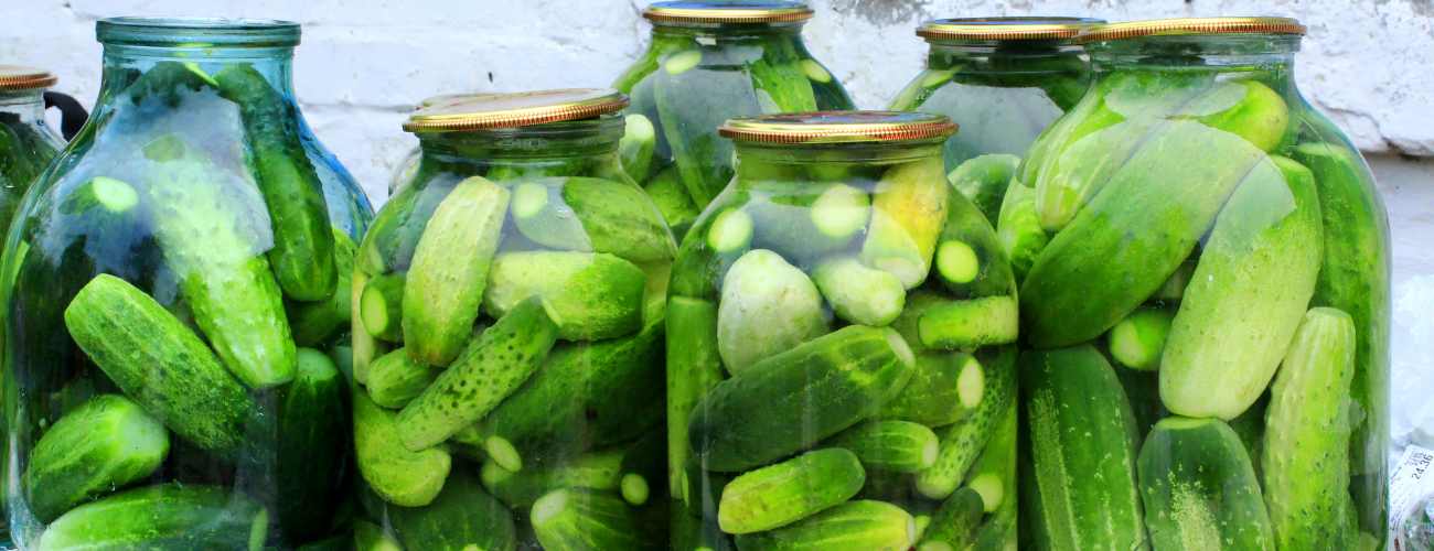 canning gurrnkis 