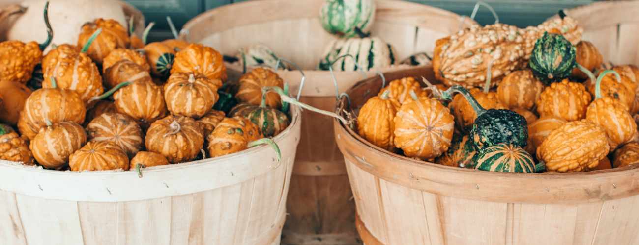 storing pumpkins 