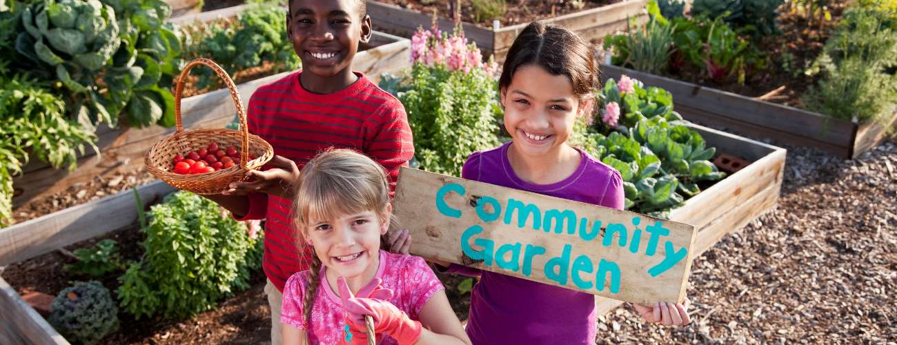 Community garden