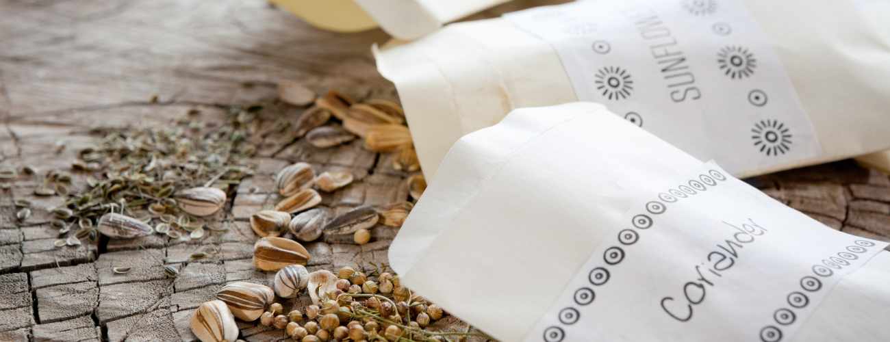 storing seeds 