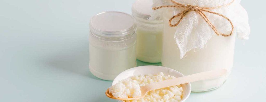 Fermenting milk to make cheese 