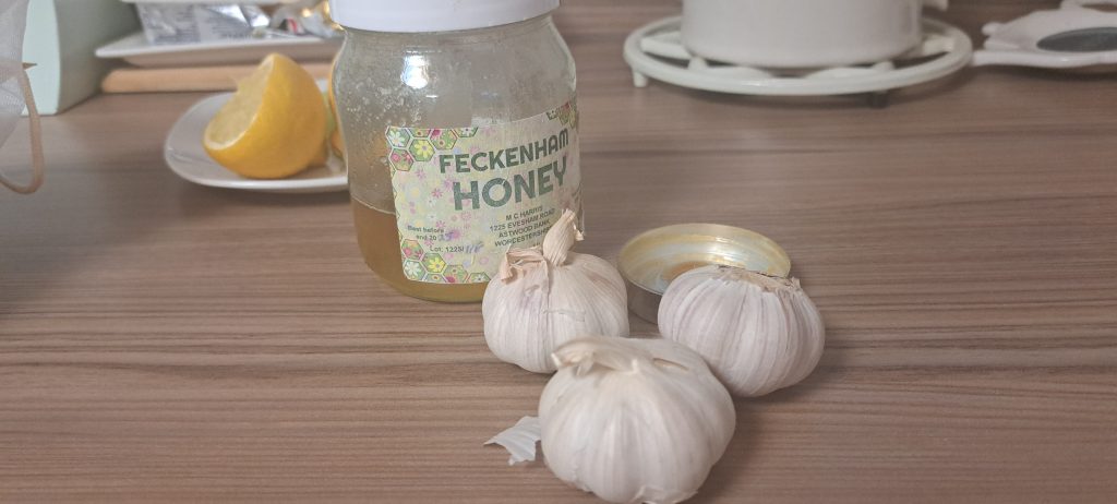 fermenting garlic in honey 