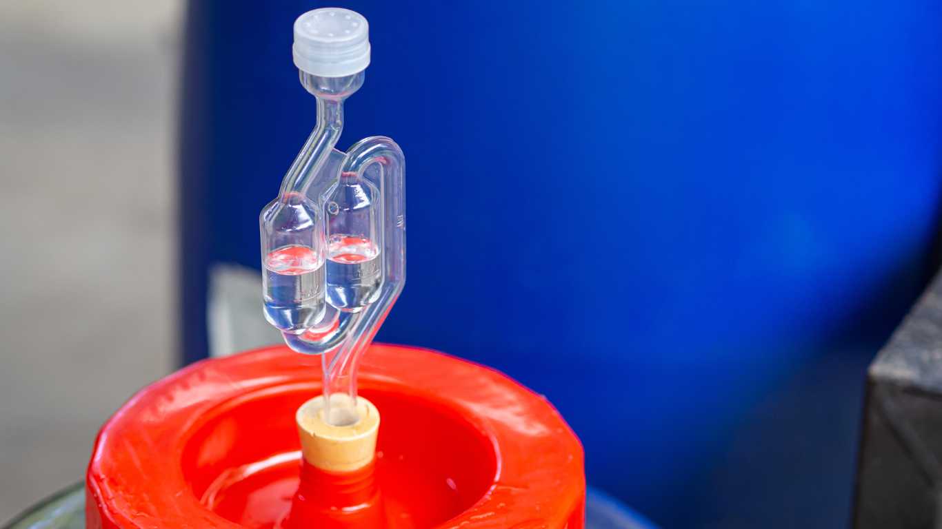 Do You Need Airlock For Fermenting Food? Explained!