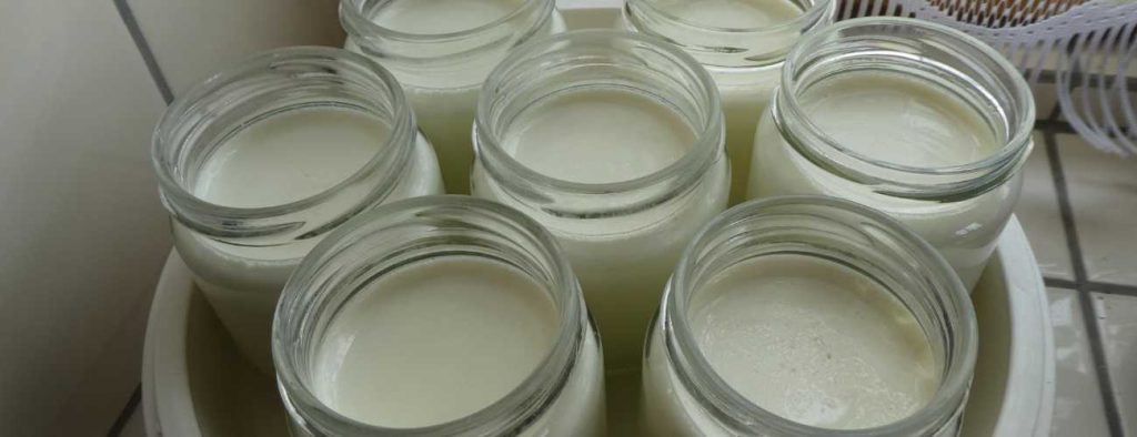 homemade yoghurt