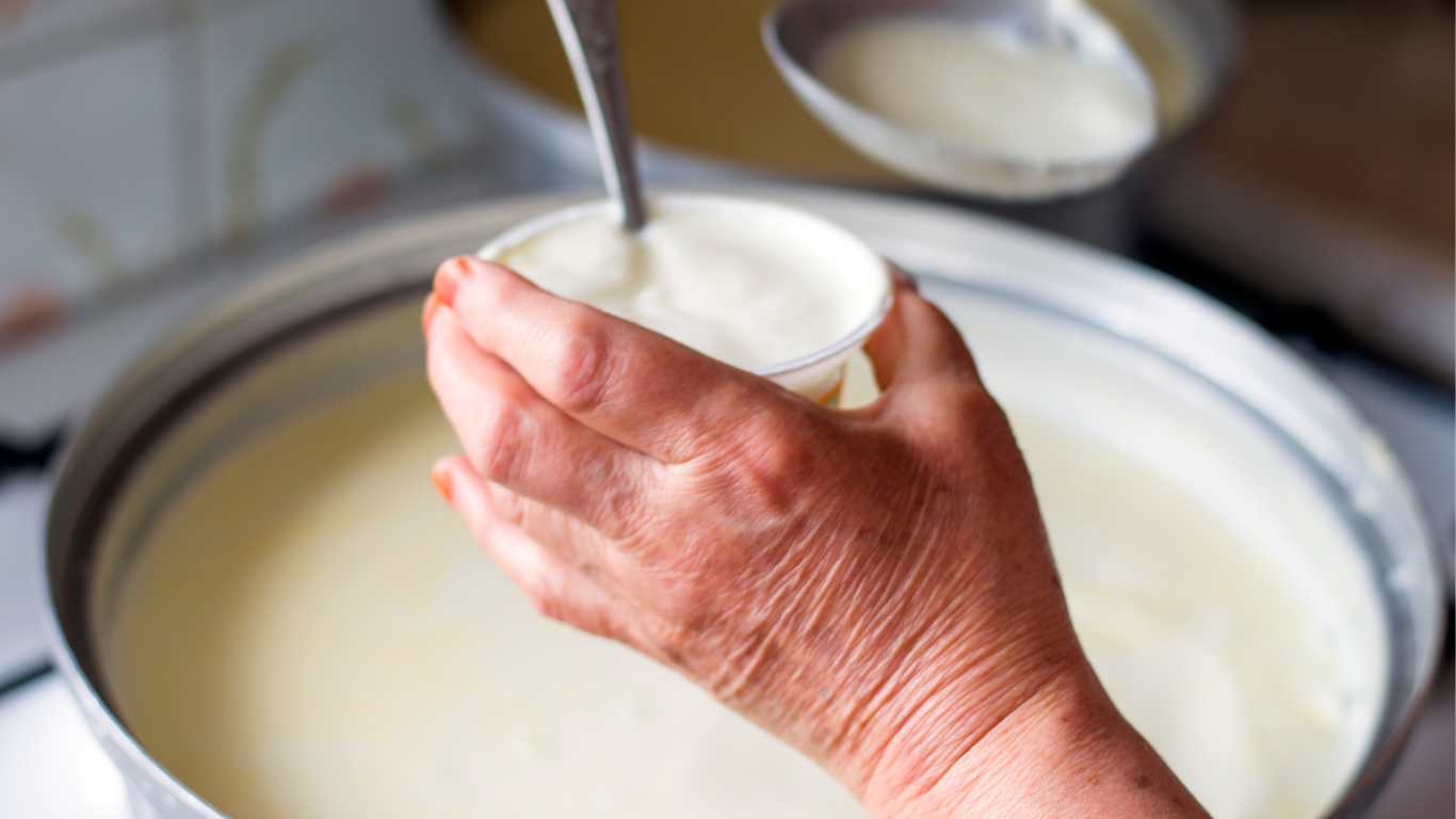 making yoghurt