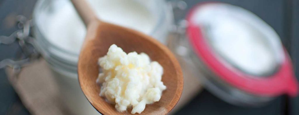 kefir grains 