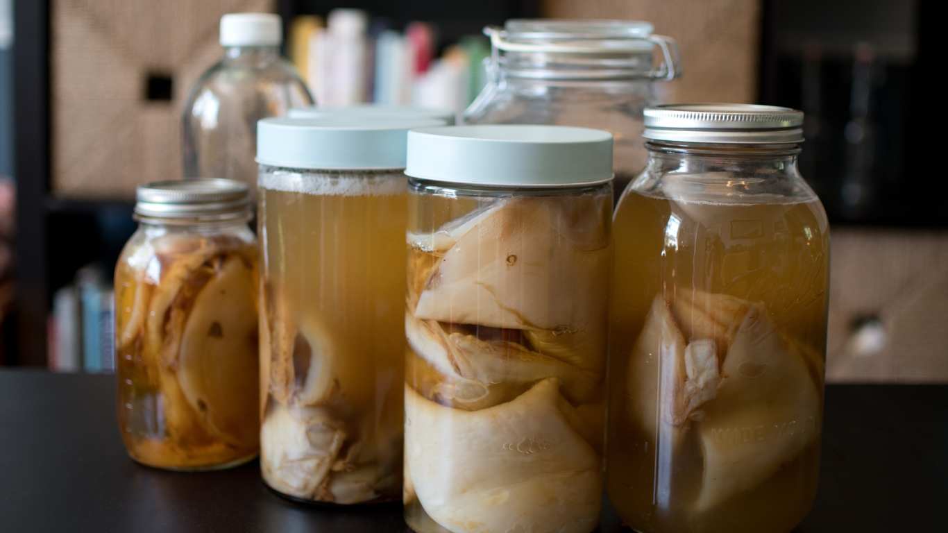 How Long Does SCOBY Last? Explained!