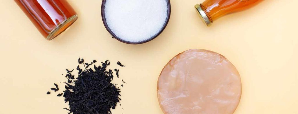 Kombucha ingredients 