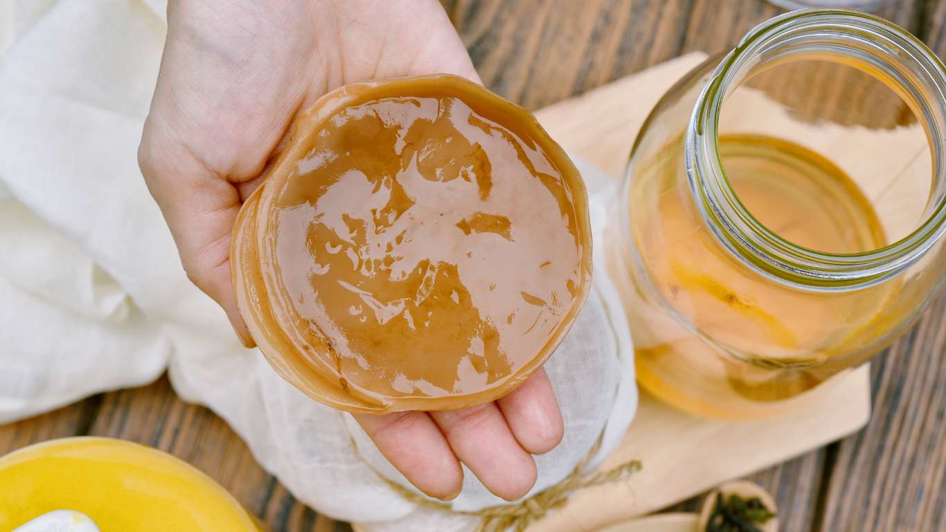 Growing SCOBY Without Kombucha: Complete Guide