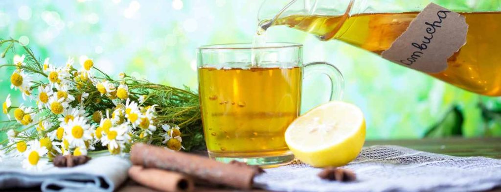 Kombucha with herbs