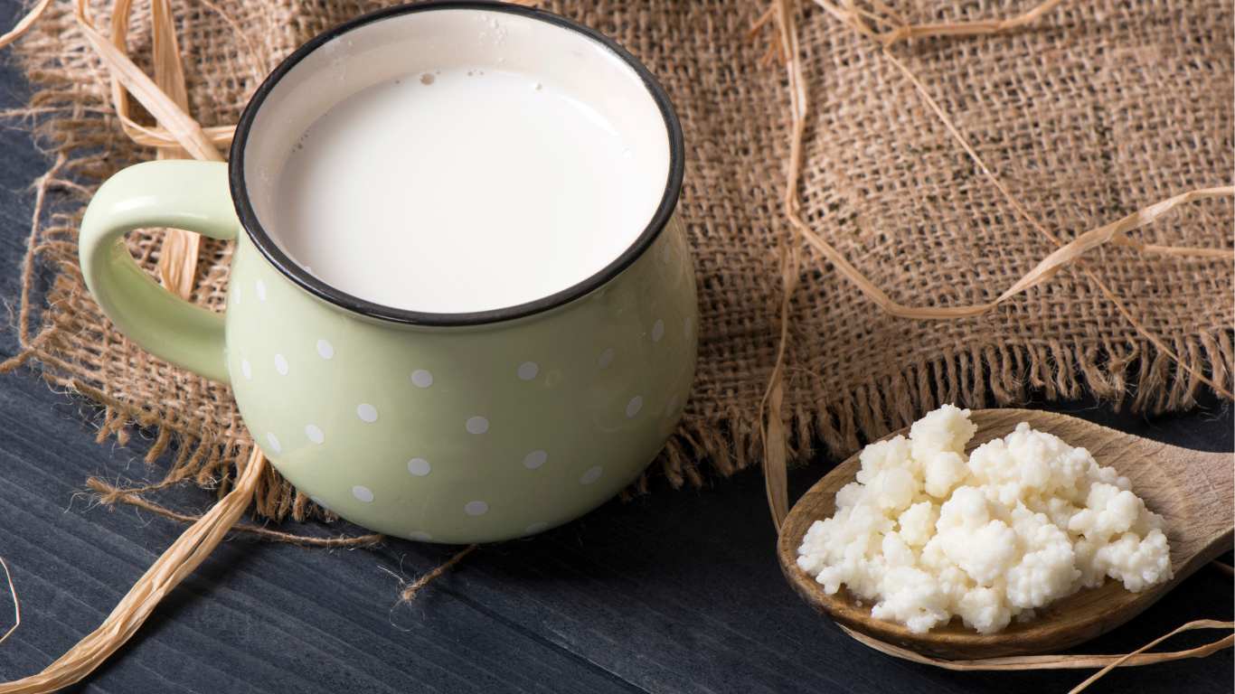How To Make Kefir From Kefir Grains? Complete Guide